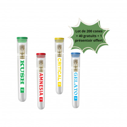 Lot de 200 cônes pré-roulés + 40 offerts