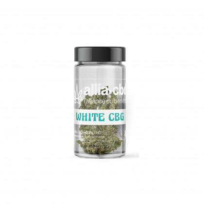 CBD - WHITE CBG (10 gr)