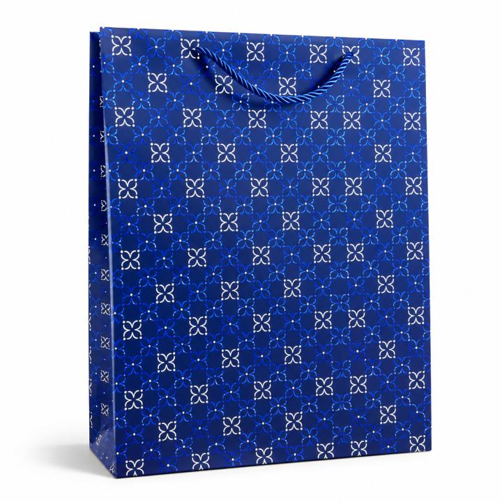 SAC CADEAU HOMME TAILLE 6 (AE) 33 X 45 CM