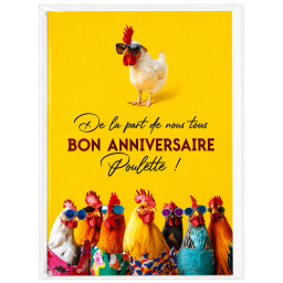 Lot de 6 cartes Anniversaire Humour