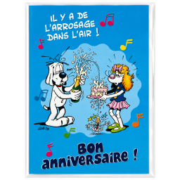 Lot de 6 cartes Anniversaire Humour