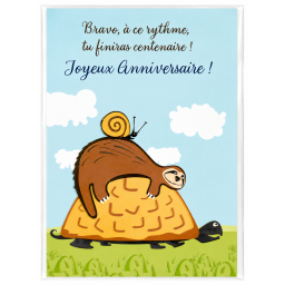 Lot de 6 cartes Anniversaire Humour