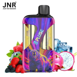 JNR Zpulse 42K mél baies sauv fruits drag 20mg