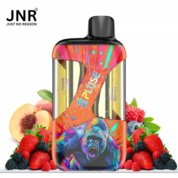JNR Zpulse 42K mél baies suv pêche baies sauv 20mg