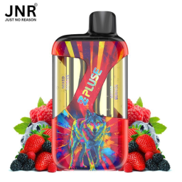 JNR Zpulse 42K mélange baies sauvages 20mg