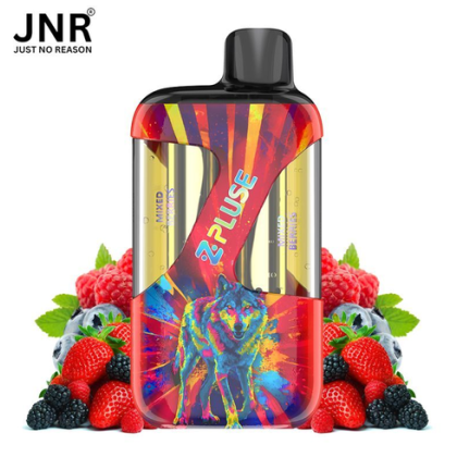 JNR Zpulse 42K mélange baies sauvages 20mg