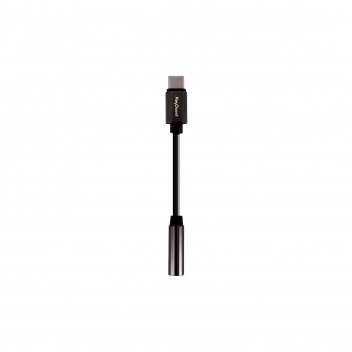 GUPBOO - Adaptateur casque MINI JACK/USB-C,JL2295 - Câble antenne - Rue du  Commerce